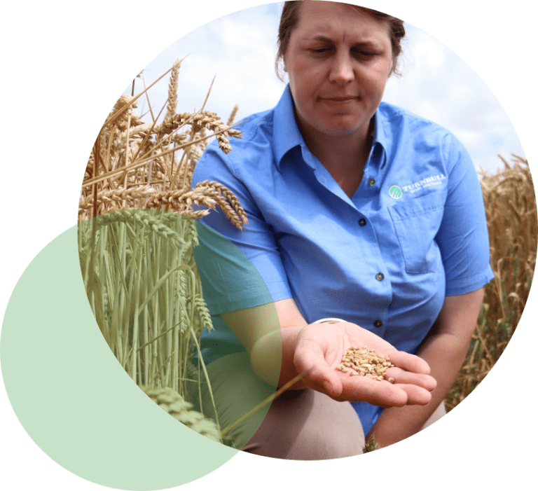 agronomist with grain